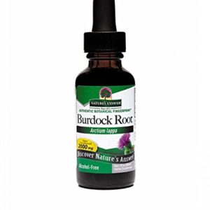 Burdock Root Alcohol Free - 30 ml