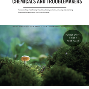 Troublemakers revealed